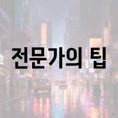 전문가의 팁