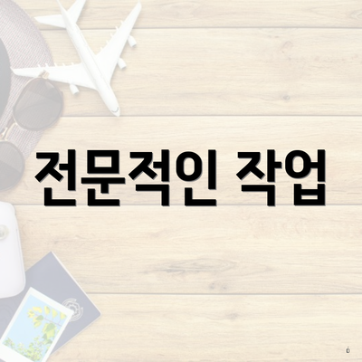 전문적인 작업