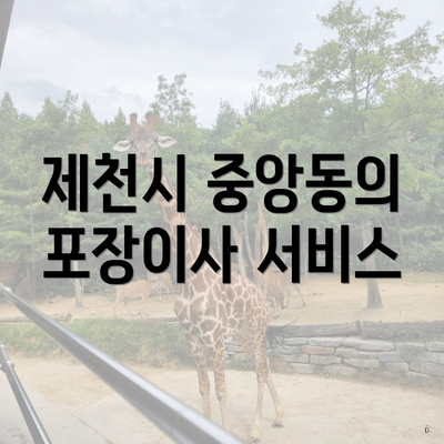 제천시 중앙동의 포장이사 서비스