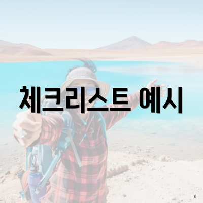 체크리스트 예시