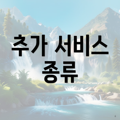 추가 서비스 종류
