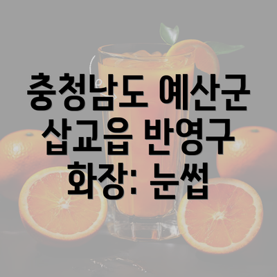 충청남도 예산군 삽교읍 반영구 화장: 눈썹