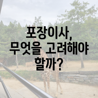 포장이사, 무엇을 고려해야 할까?