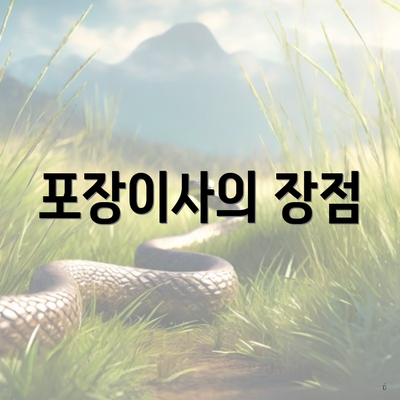 포장이사의 장점