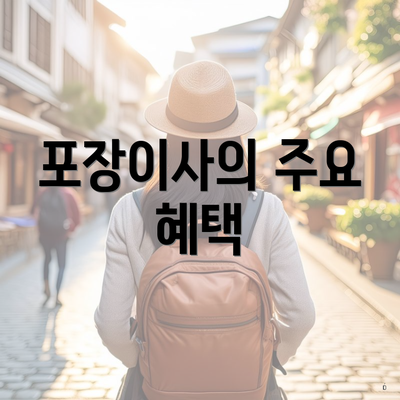 포장이사의 주요 혜택