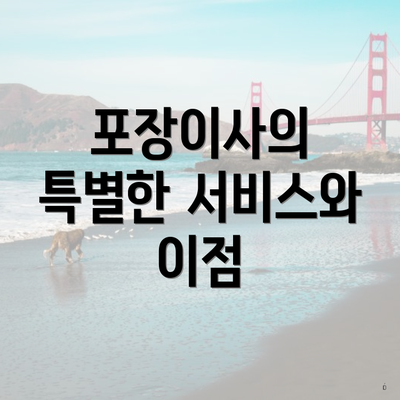 포장이사의 특별한 서비스와 이점