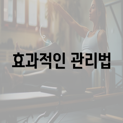 효과적인 관리법