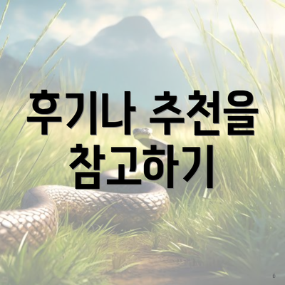 후기나 추천을 참고하기