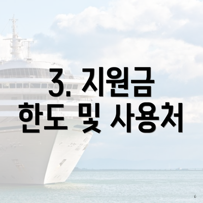 3. 지원금 한도 및 사용처
