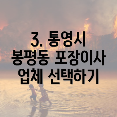 3. 통영시 봉평동 포장이사 업체 선택하기
