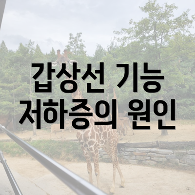 갑상선 기능 저하증의 원인