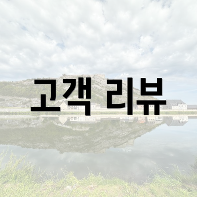 고객 리뷰