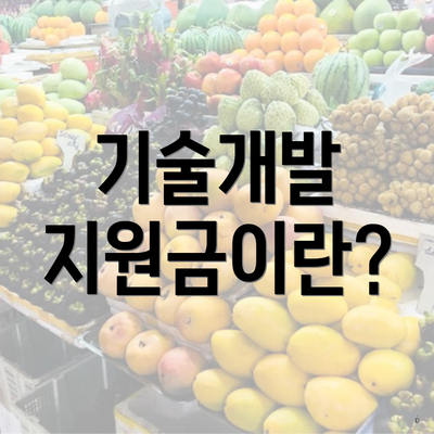 기술개발 지원금이란?