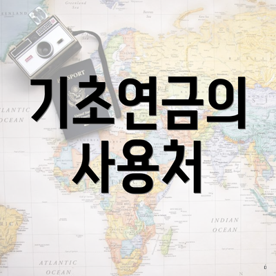 기초연금의 사용처