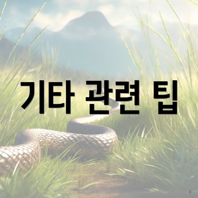 기타 관련 팁