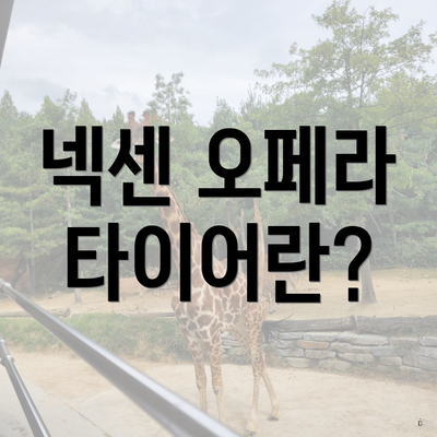 넥센 오페라 타이어란?