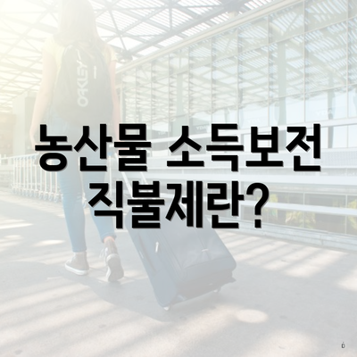 농산물 소득보전 직불제란?