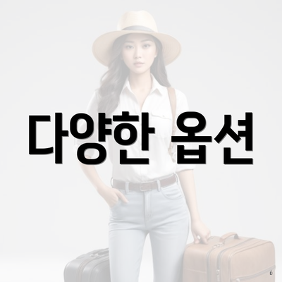 다양한 옵션
