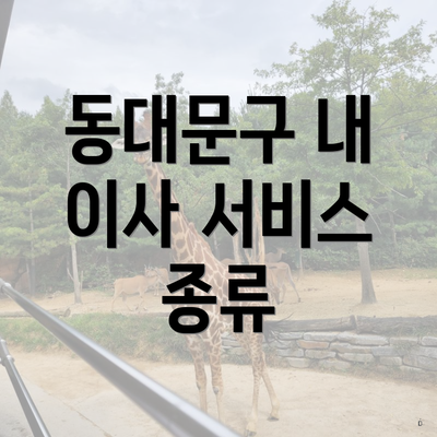 동대문구 내 이사 서비스 종류