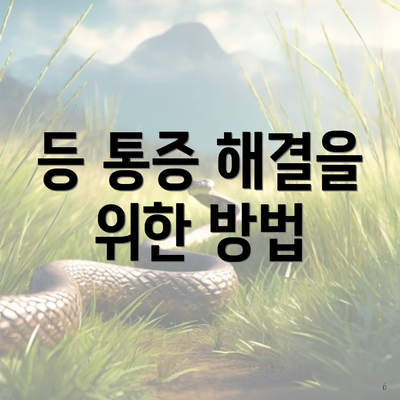 등 통증 해결을 위한 방법