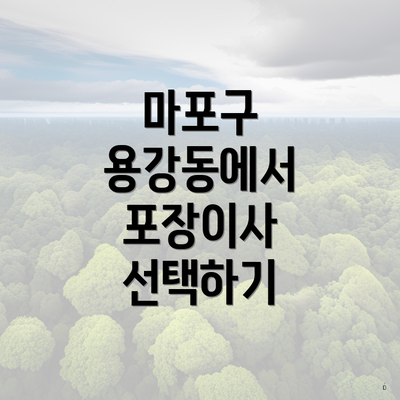 마포구 용강동에서 포장이사 선택하기