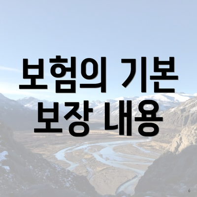 보험의 기본 보장 내용