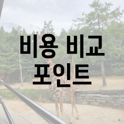 비용 비교 포인트