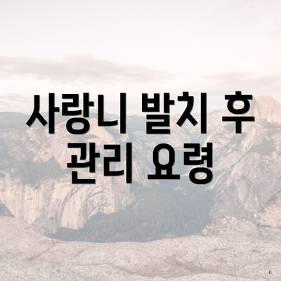 사랑니 발치 후 관리 요령