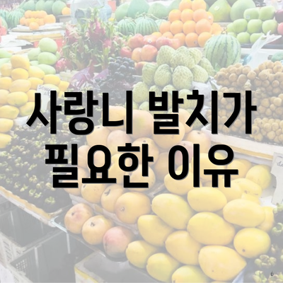 사랑니 발치가 필요한 이유