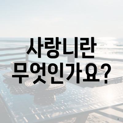 사랑니란 무엇인가요?