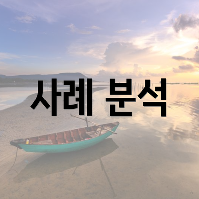 사례 분석