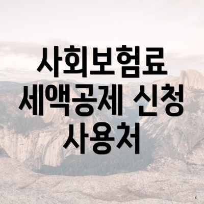 사회보험료 세액공제 신청 사용처