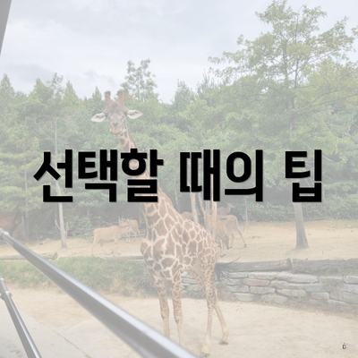 선택할 때의 팁