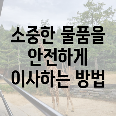 소중한 물품을 안전하게 이사하는 방법