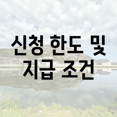 신청 한도 및 지급 조건