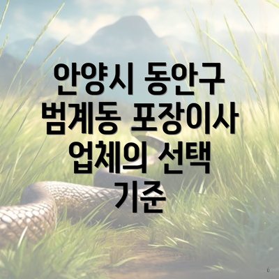 안양시 동안구 범계동 포장이사 업체의 선택 기준