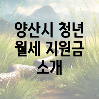 양산시 청년 월세 지원금 소개