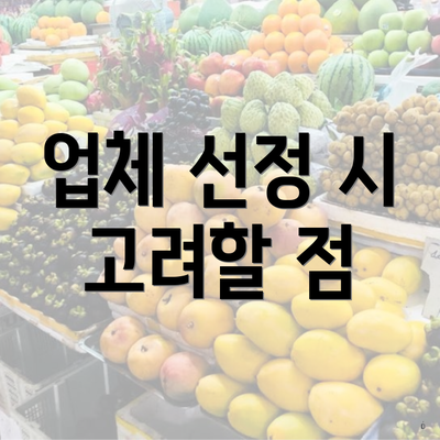 업체 선정 시 고려할 점
