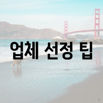업체 선정 팁