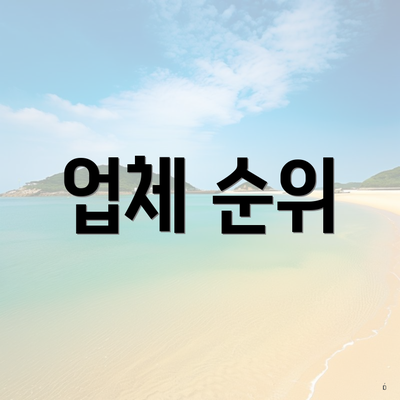 업체 순위