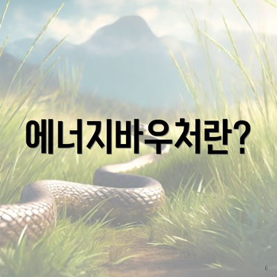 에너지바우처란?