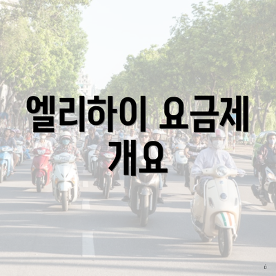 엘리하이 요금제 개요