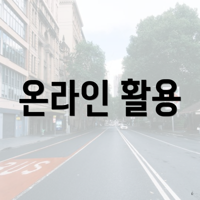 온라인 활용