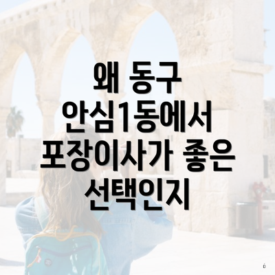 왜 동구 안심1동에서 포장이사가 좋은 선택인지
