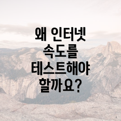 왜 인터넷 속도를 테스트해야 할까요?