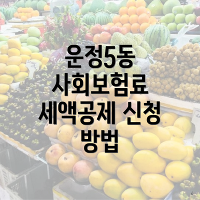 운정5동 사회보험료 세액공제 신청 방법