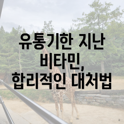 유통기한 지난 비타민, 합리적인 대처법