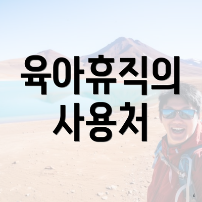 육아휴직의 사용처