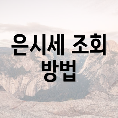 은시세 조회 방법