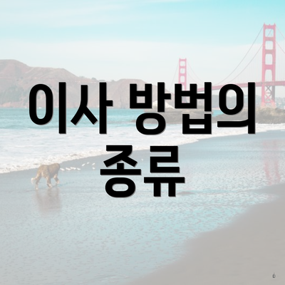 이사 방법의 종류